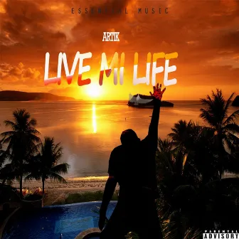 Live Mi Life by Artik