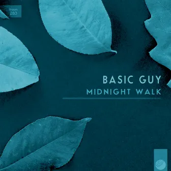 Midnight Walk by Basic Guy