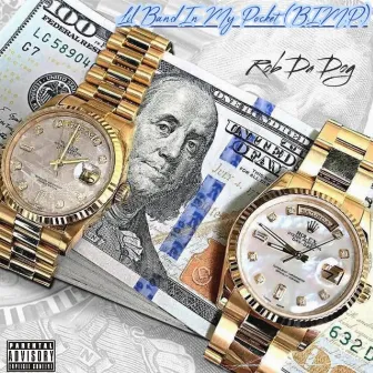 Lil' Band In My Pocket (B.I.M.P.) by Rob Da Dog