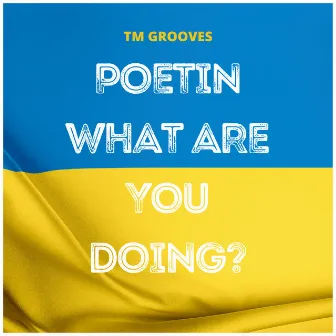 Poetin What are You Doing by TM Grooves