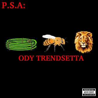 P.S.A. Hoes Be Lying by Ody Trendsetta