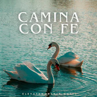 Camina Con Fe by Mezzo Piano