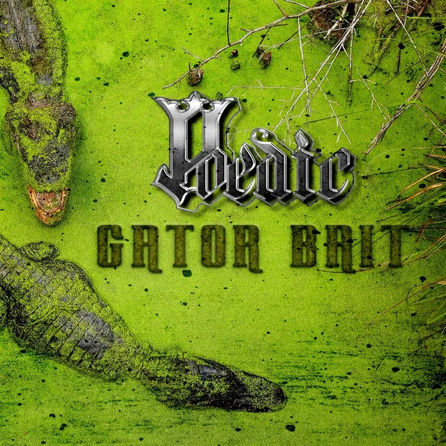 Gator Bait