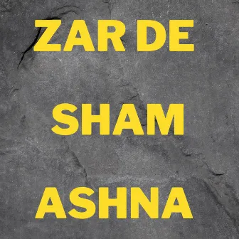 Zar De Sham Ashna by Qari Zeeshan