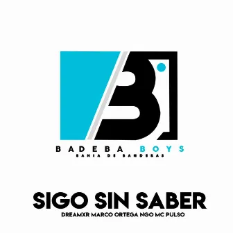 SIGO SIN SABER by BADEBA BOYS