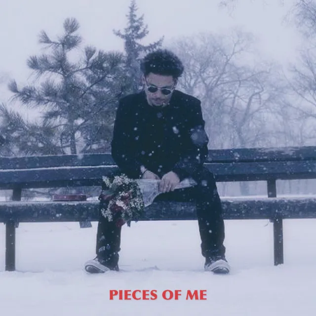 Pieces of Me