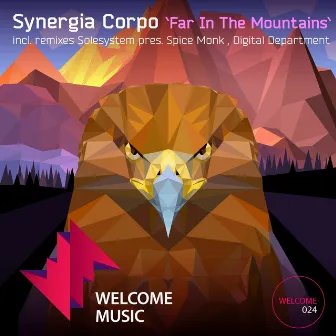 Far in the Mountains by Synergia Corpo