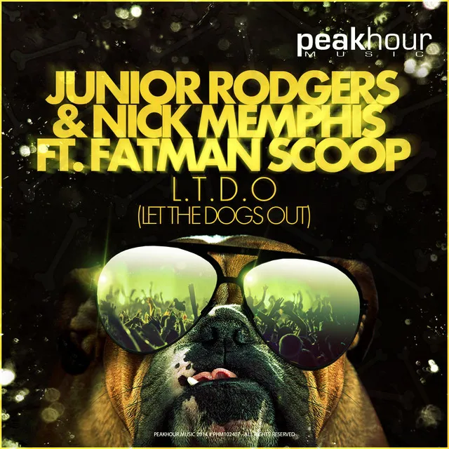 L.T.D.O. (Let the Dogs Out) - Junior Rodgers Remix