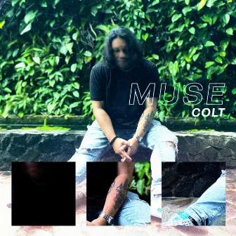 MUSE by Colt