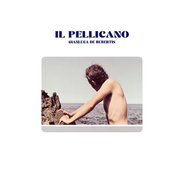 Il Pellicano