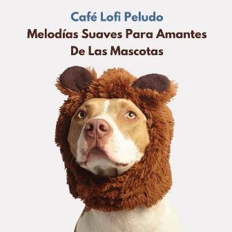 Café Lofi Peludo: Melodías Suaves Para Amantes De Las Mascotas by Relájate Hip Hop