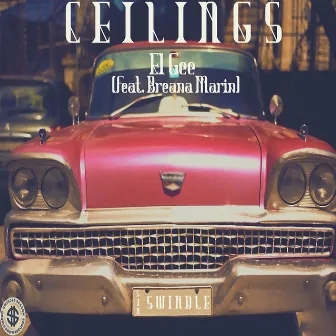 Ceilings by El Gee