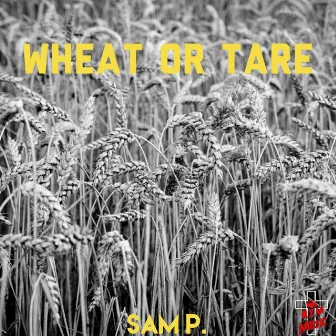 Wheat or Tare by Sam Purpose