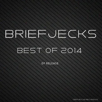 Briefjecks - End of 2014 by Briefjecks