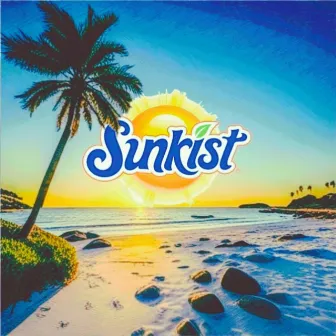 Sunkist by Lost Tribe Music