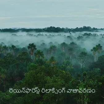 రెయిన్‌ఫారెస్ట్ రిలాక్సింగ్ వాతావరణం by Bird Song Group