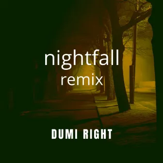 Nightfall (Remix) by Dumi Right