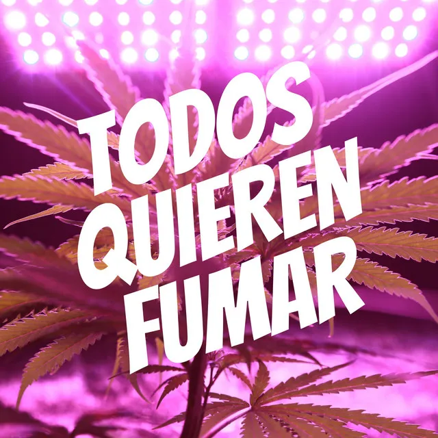 Todos Quieren Fumar