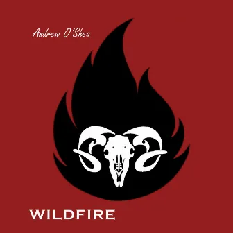 WILDFIRE by Andrew O’Shea