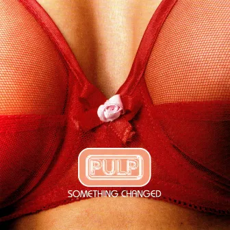 Something Changed EP by Pulp