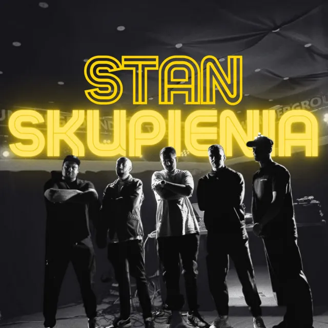 Stan skupienia