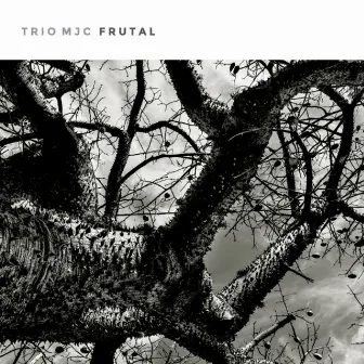 Frutal by Trio MJC