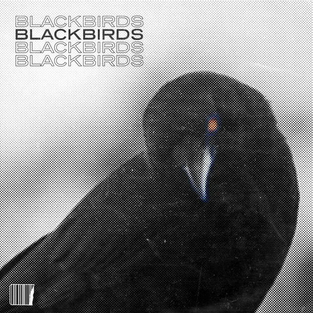 Blackbirds (Kulkid Remix)