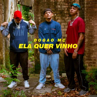 Ela Quer Vinho by Dogao mc