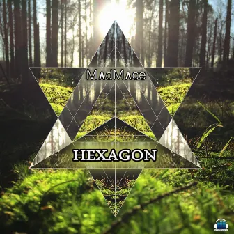 Hexagon by Madmace