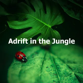 Adrift in the Jungle by Jungleur