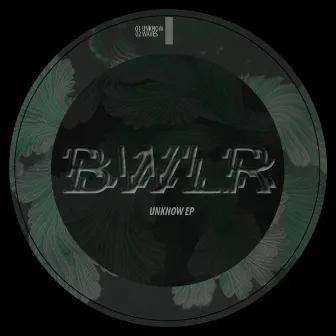 Unknow EP by BWLR