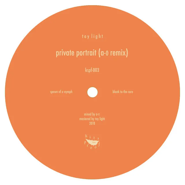 Private Portrait (A-0 Remix)