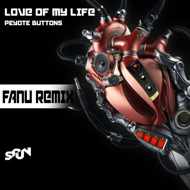 LOVE OF MY LIFE - FANU REMIX