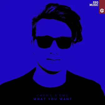 What You Want by Gavril