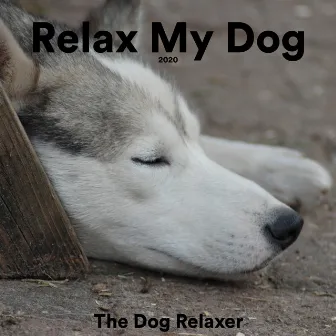 Relax My Dog (2020) by The Dog Relaxer