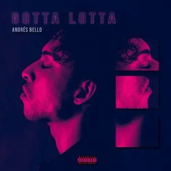 Gotta Lotta by Andrés Bello