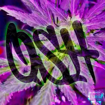 Qsh (Live) by Ocean Haze