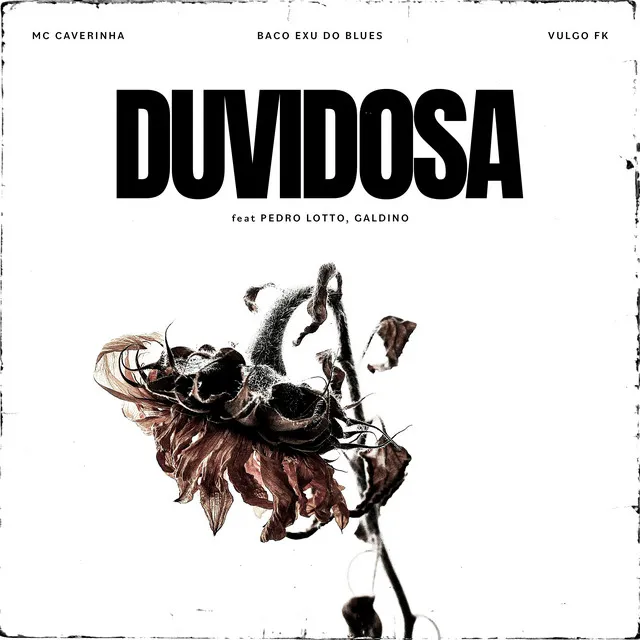 Duvidosa