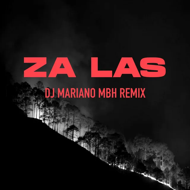 Za las - REMIX