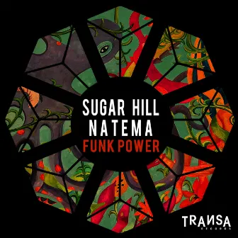 Funk Power by Sugar Hill