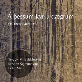 Á þessum kyrru dægrum by Tryggvi M. Baldvinsson