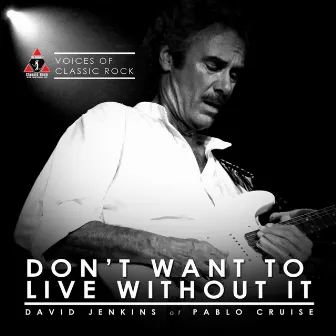 Don't Want To Live Without It by David Jenkins