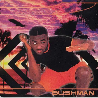 No 1 Else by Bushman