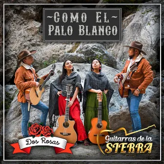 Como el Palo Blanco by Dueto Dos Rosas