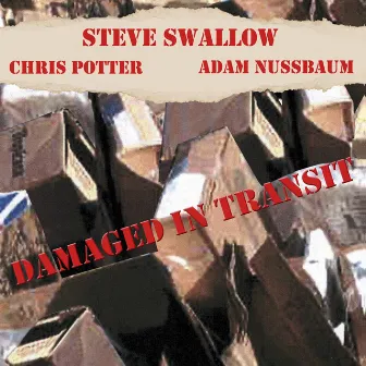 Damaged In Transit by Adam Nussbaum