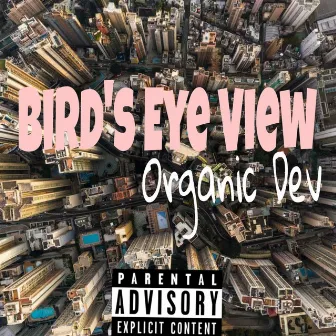 Bird's Eye View by Organic Dev