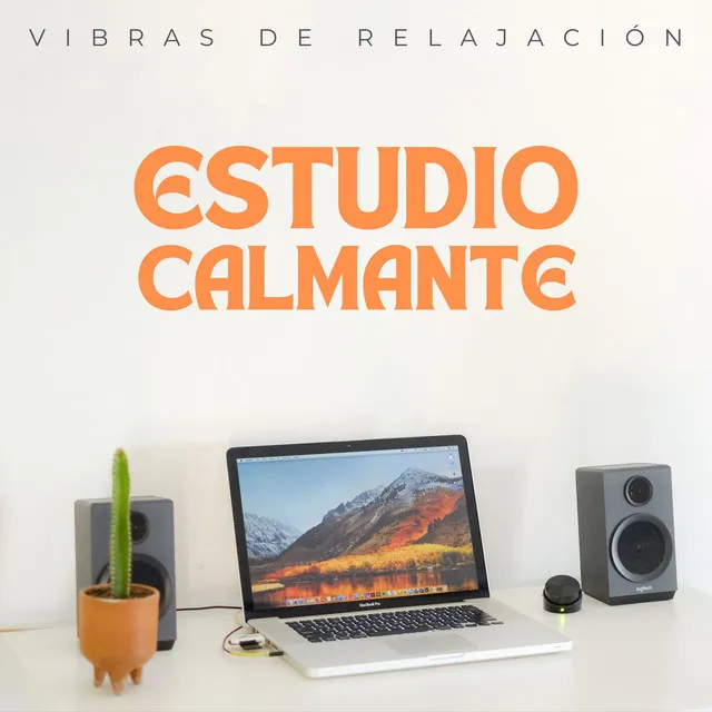 Vibras De Relajación: Estudio Calmante