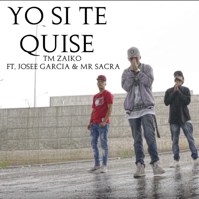 Yo Si Te Quise