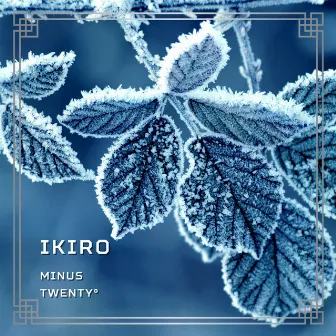 Minus Twenty by Ikiro