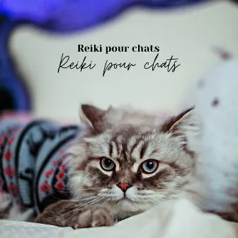 Reiki pour chats : musique de zoothérapie pour une relaxation profonde by Chat musique